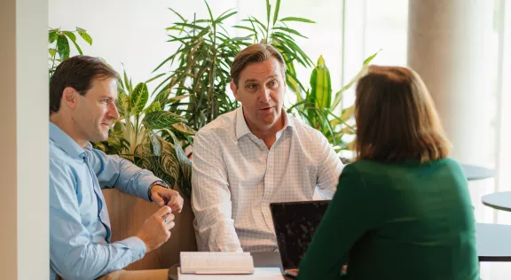 Interim Executive Management 