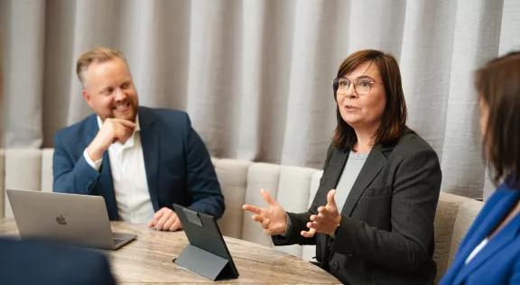 Interim Project Management