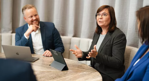 Interim project management